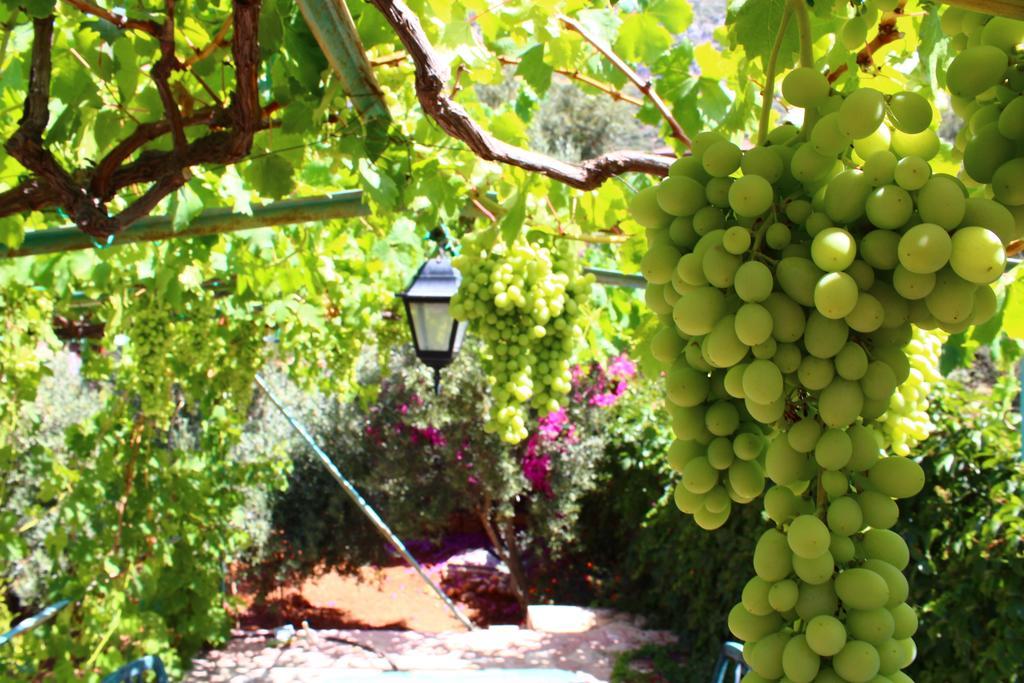 Villa Koknar Pension Kaş Exteriör bild